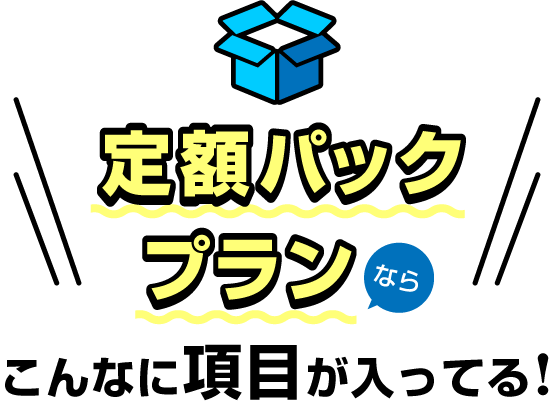 定額パックプランならこんなに項目が入ってる!
